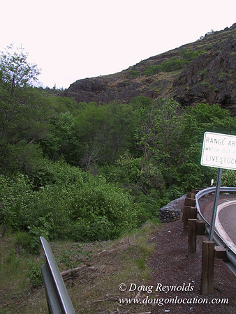 WA Canyon Rd- 7418