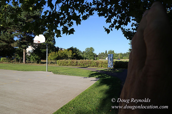 Lincoln Park-0630