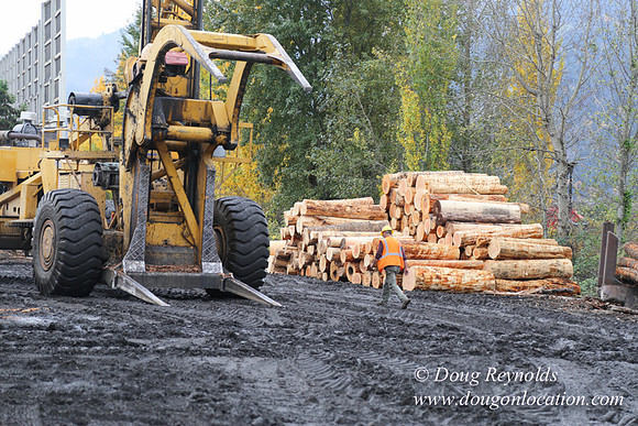 SDS Lumber-1374