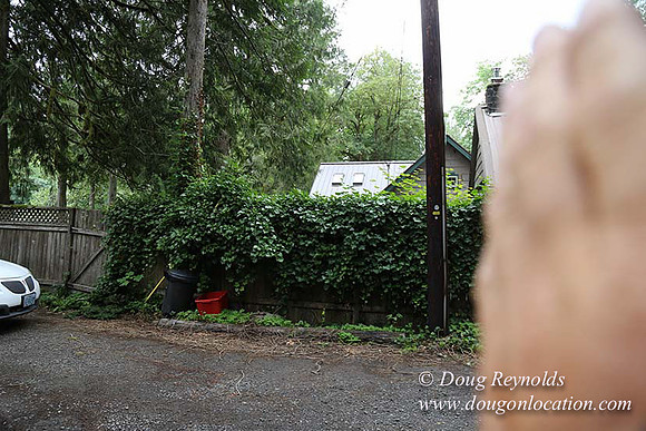 Small, Cabin, Home, River, OR, Oregon, Green, Yard,