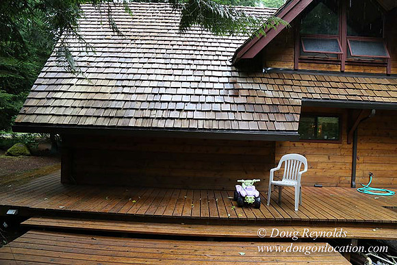 Gary's Cabin-7558