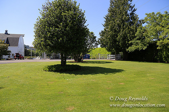 Oswego Hills-5449