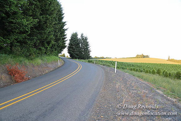 Hwy 214 M18-7668