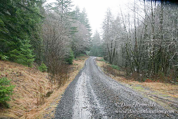 WC Clear Cut 2010-7862