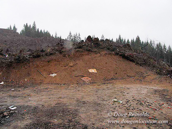 WC Clear Cut 2010-7791