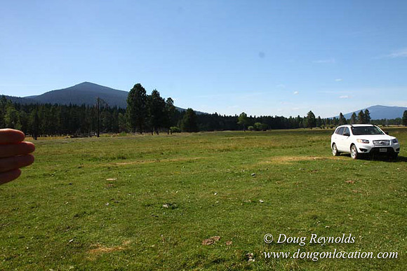 Ranch 18 South side of Hwy  has 2500 Acres of green fields Creeks water crossing Bridges on a Large Lake and miles of Dirt roads Oak trees  Forest land ATV Trails cows
