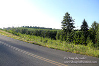 Oak Ridge Rd 2-7119