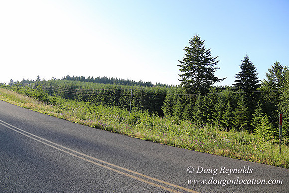 Oak Ridge Rd 2-7119