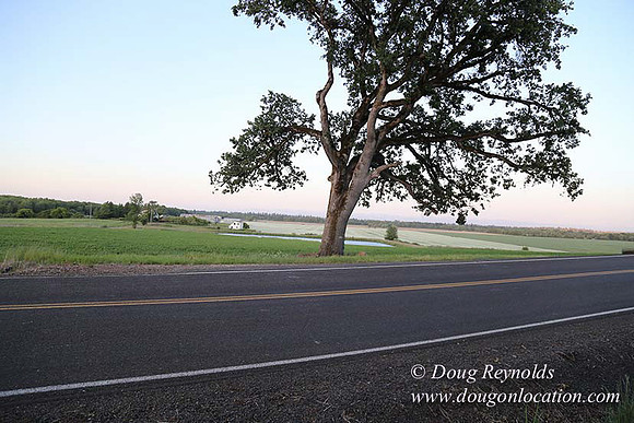 Spring Valley Rd