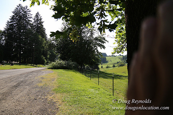 Helvetia rd Church-6071