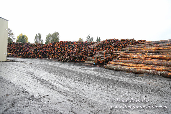 Saw Mill and Lumber Yard