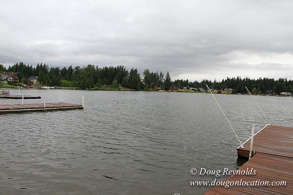 Boat, Cabin, Dock, "Greg's", Home, House, Lake, Small, WA, Washington, Yard, deck, green., vacation