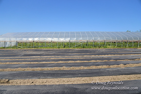 Vahan's Farm & Market-5199