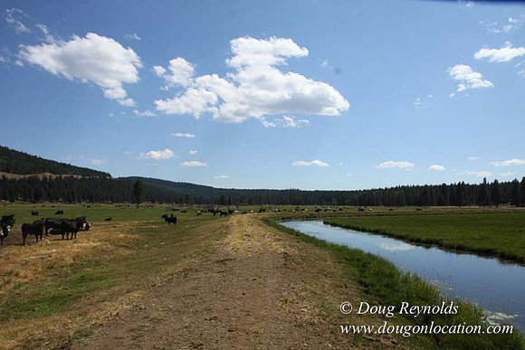 Ranch 18 South side of Hwy  has 2500 Acres of green fields Creeks water crossing Bridges on a Large Lake and miles of Dirt roads Oak trees  Forest land ATV Trails cows
