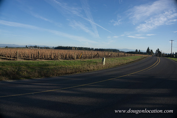 Kelso Rd W Driving E-3987