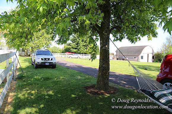 "2 Barns", "2 car garage", "40+ Acres", "PDX Zone", Pool, "White Fence", cows, "farm House", "rap around dive", "well maintained"