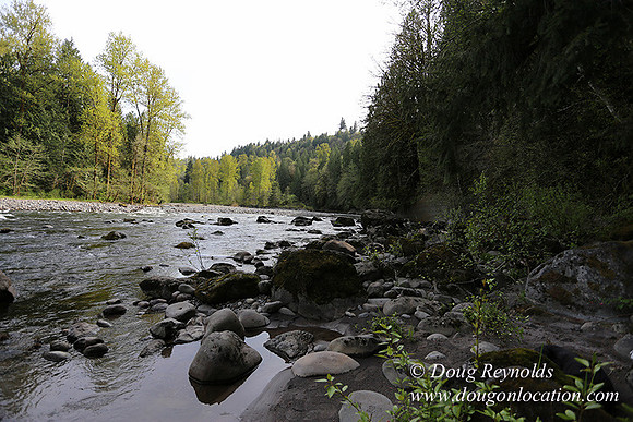 Brians River Side-0035