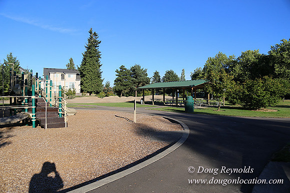 Lincoln Park-0599
