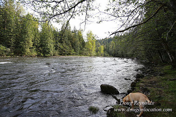 Brians River Side-0018