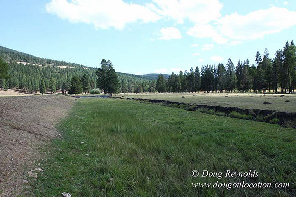 Ranch 18 South side of Hwy  has 2500 Acres of green fields Creeks water crossing Bridges on a Large Lake and miles of Dirt roads Oak trees  Forest land ATV Trails cows