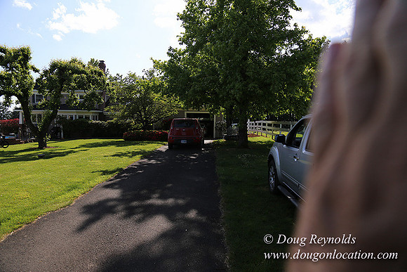"2 Barns", "2 car garage", "40+ Acres", "PDX Zone", Pool, "White Fence", cows, "farm House", "rap around dive", "well maintained"