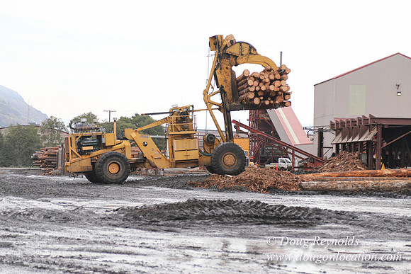SDS Lumber-1334