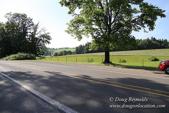 Helvetia rd Church-6048