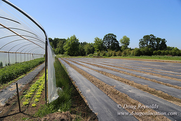Vahan's Farm & Market-5197