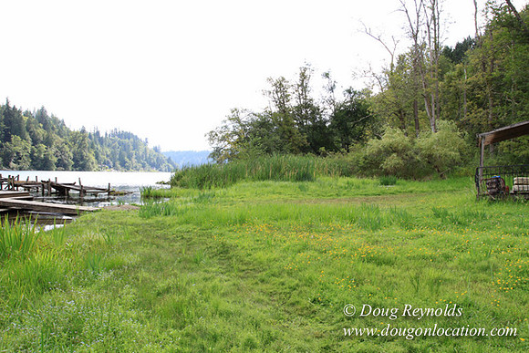 Roberts Lake House-4901