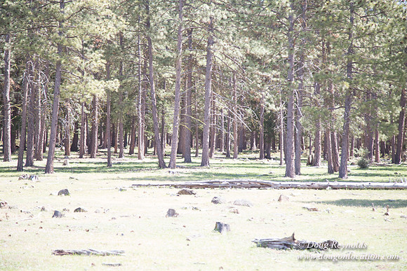 Ranch 18