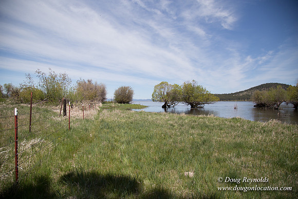 Ranch 18