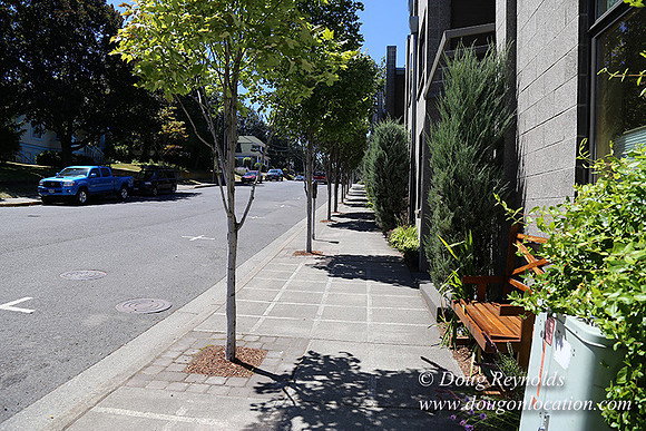 6th & Cascade HdRv-7975