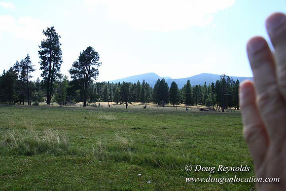 Ranch 18 South side of Hwy  has 2500 Acres of green fields Creeks water crossing Bridges on a Large Lake and miles of Dirt roads Oak trees  Forest land ATV Trails cows