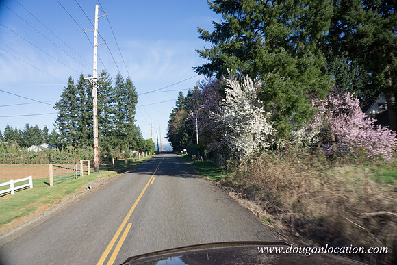 SE Dunn Rd-3668