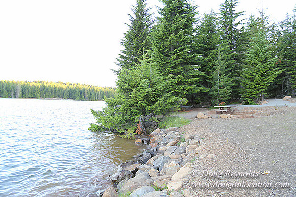 Timathy Lake-3910
