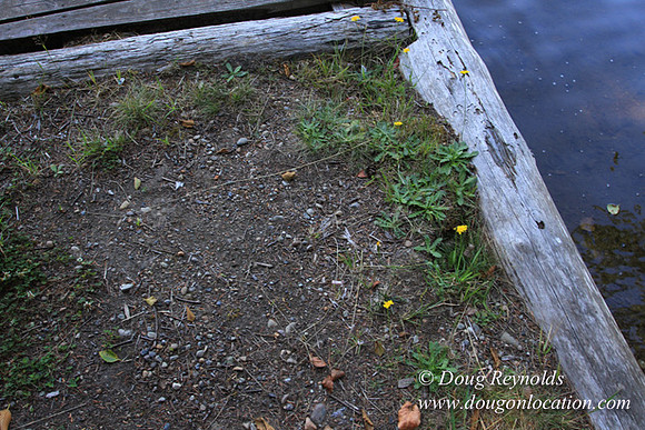 Richter Lake House-8367