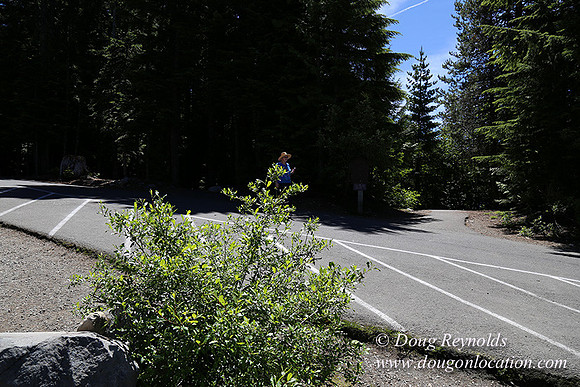 Trillium Lake-32003590