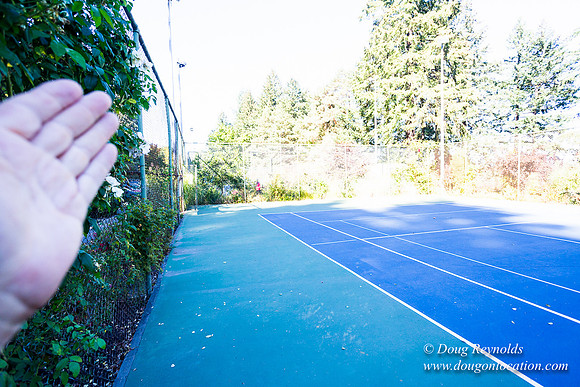 Washington Park Tennis Courts