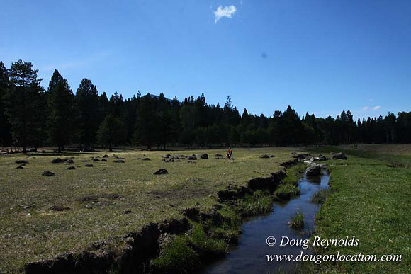 Ranch 18 South side of Hwy  has 2500 Acres of green fields Creeks water crossing Bridges on a Large Lake and miles of Dirt roads Oak trees  Forest land ATV Trails cows