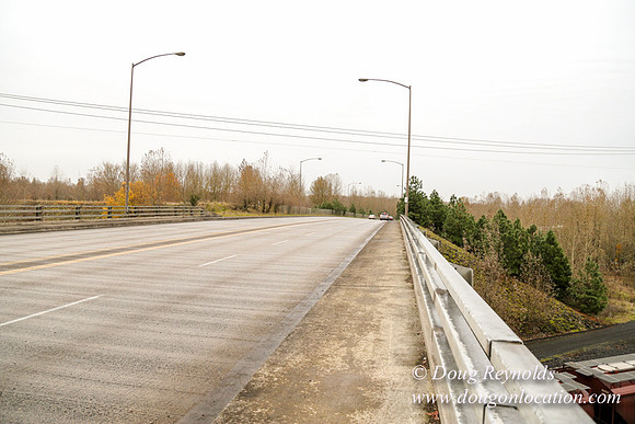 Marine Dr Overpass-5271