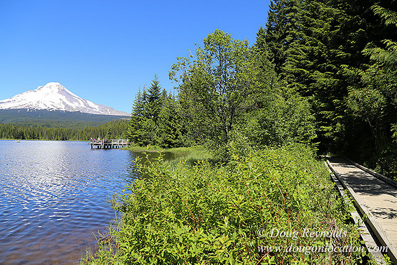 Trillium Lake-32003570