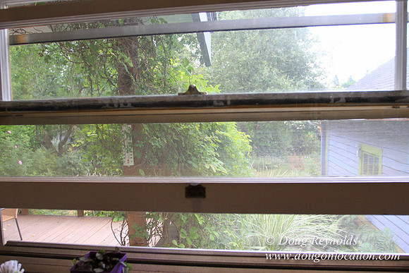 Laura’s Home This is a Portland Bungalow Style small home with a average sized and interesting back yard, nice garden with bee hive’s