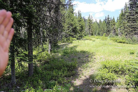 Jerry's Cabin-6682