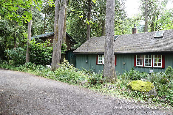 Small, Cabin, Home, River, OR, Oregon, Green, Yard,