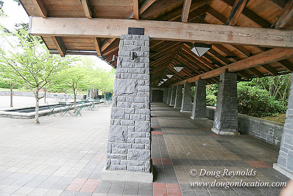 Oswego Market-6519