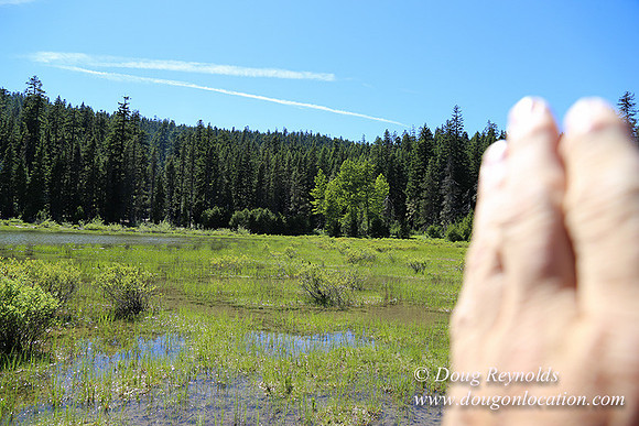 Frog Lake-3482